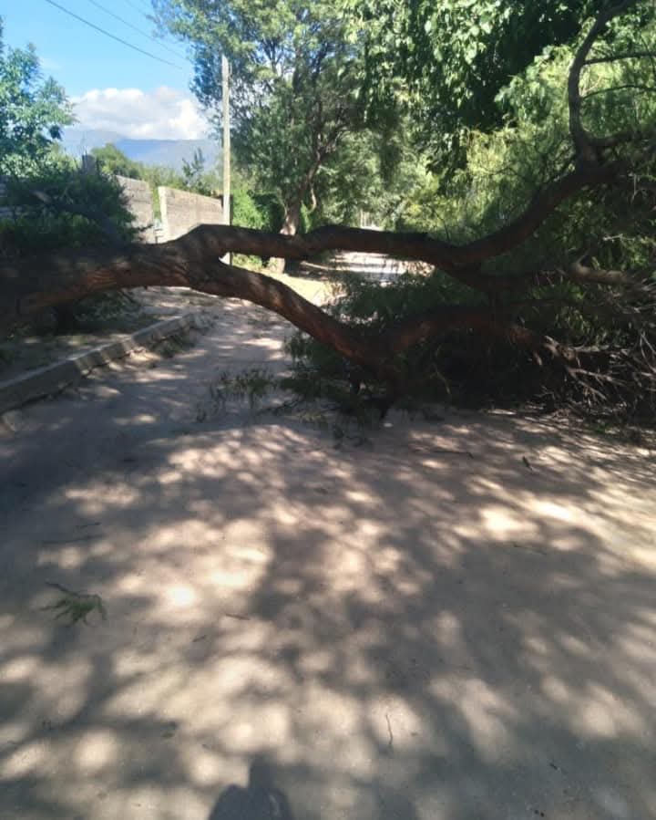 FUERTE VIENTO CAUSA CORTES DE LUZ