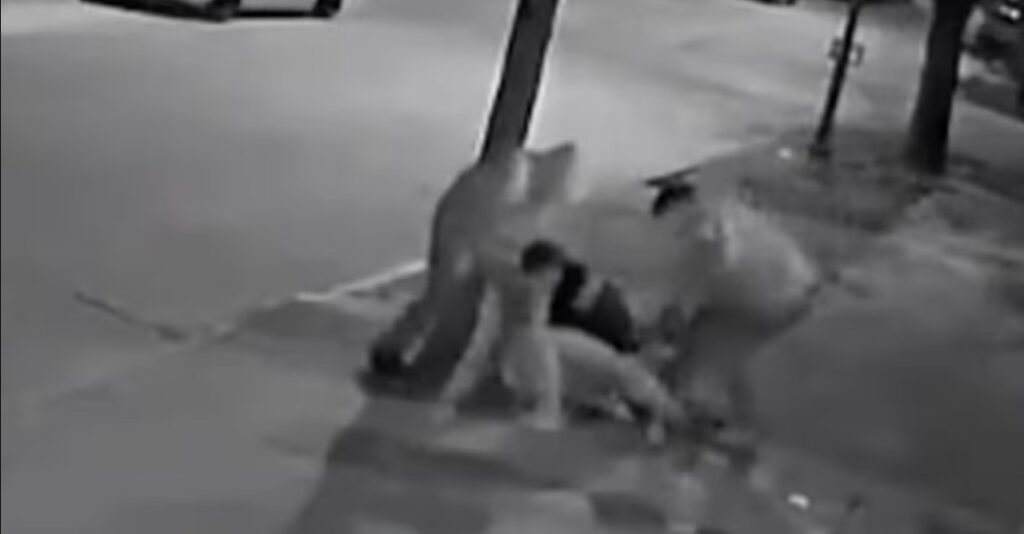 Pidieron la detención del hijo de un diputado libertario por la brutal golpiza a un joven en Colón