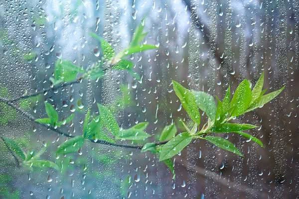 Mas Lluvias
