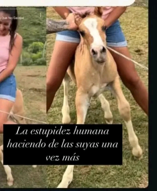 Mujer Imputada