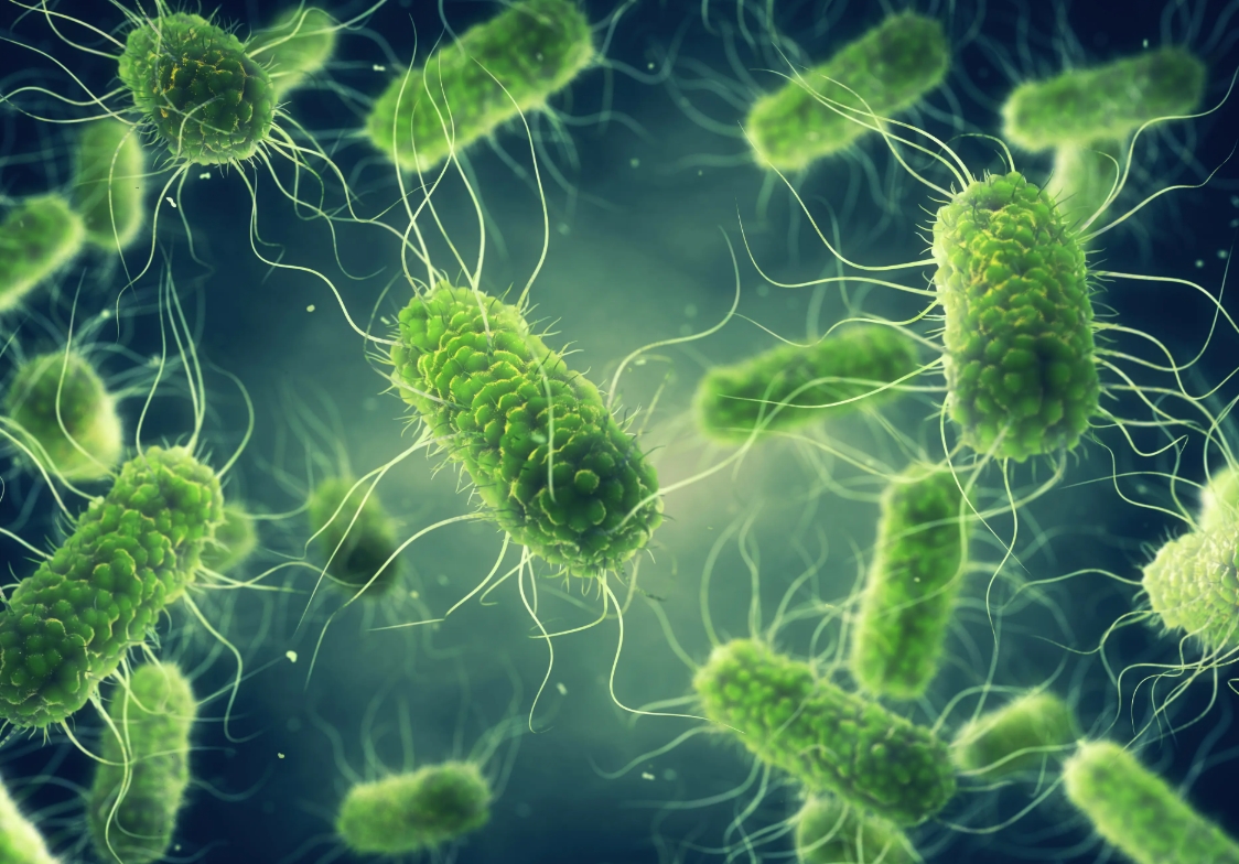 CASOS DE SALMONELLA